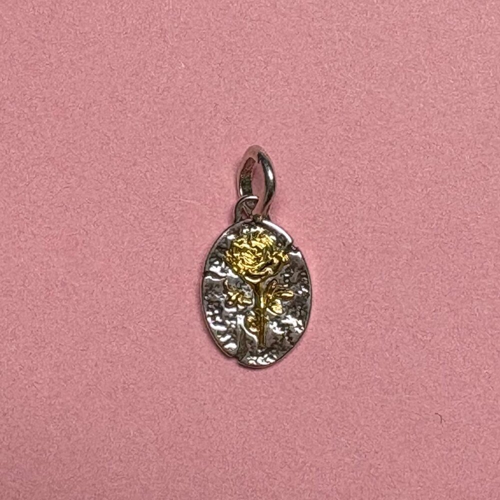 Pandora Rose Medallion Charm